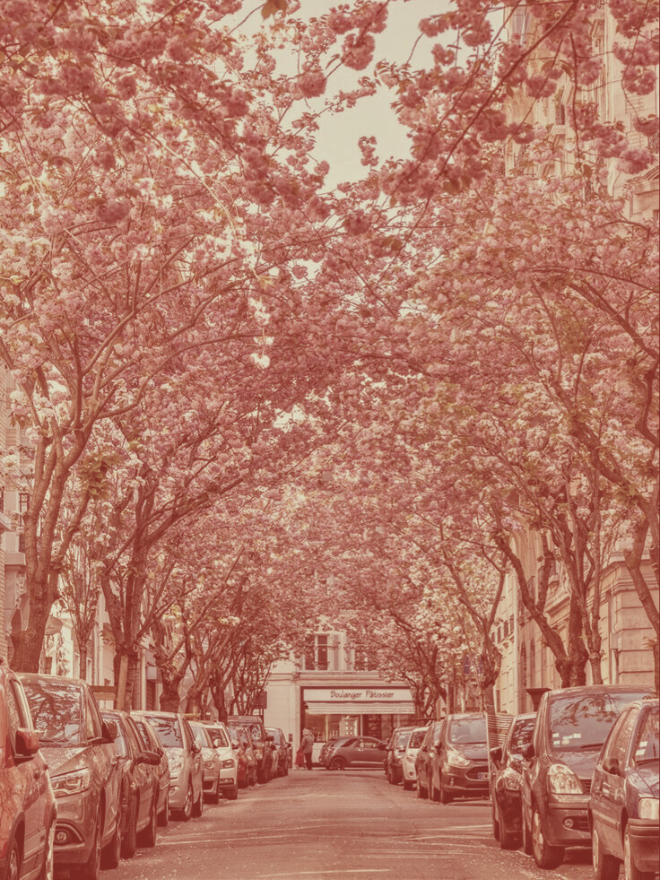 mwell_vincennes01_amenagement_decoration