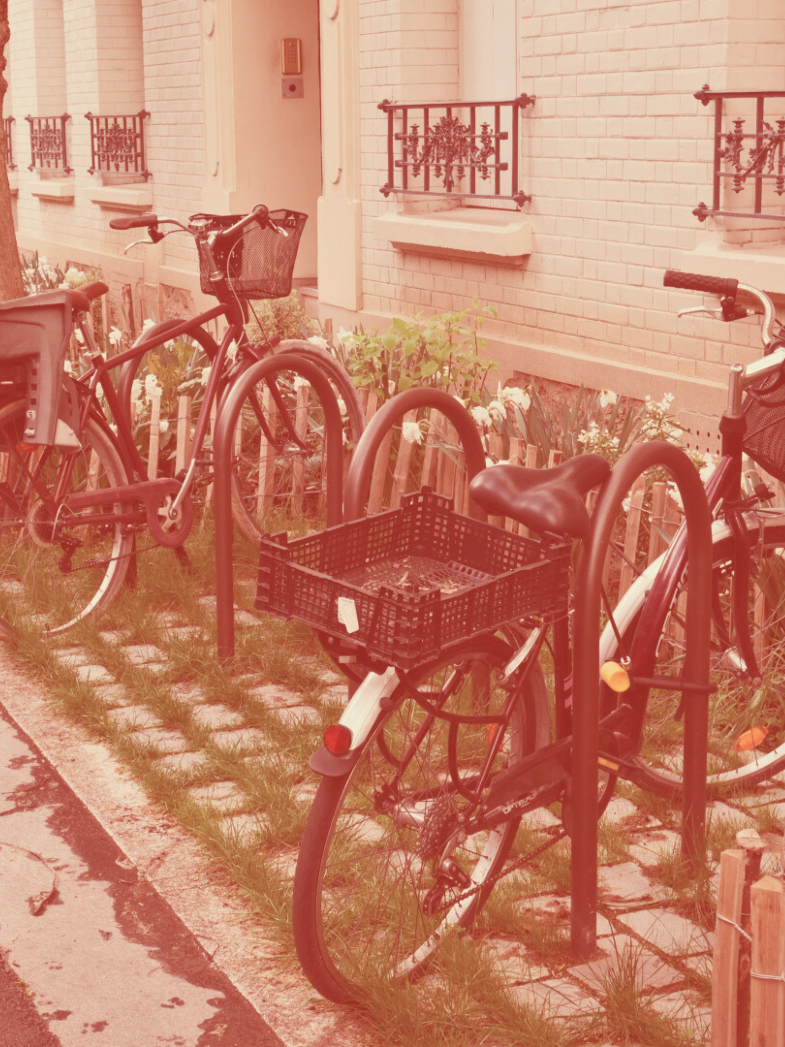 mwell_vincennes100_amenagement_decoration